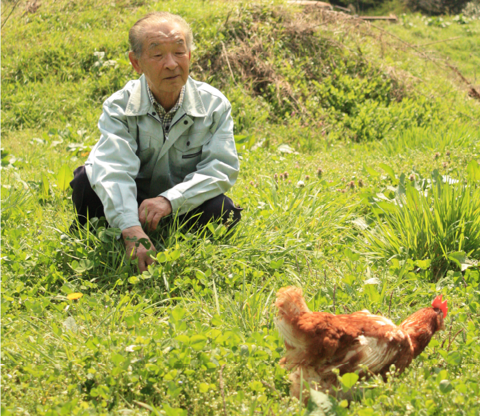 おじいさんと鶏